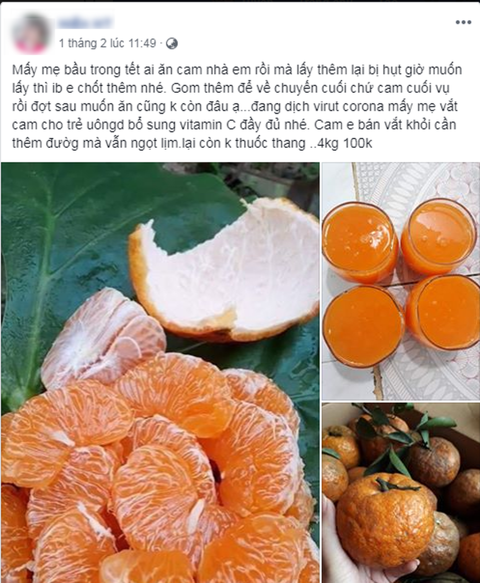 Rao gom mua cam tràn ngập chợ mạng vì sợ dịch Corona - 2 Rao gom mua cam tràn ngập chợ mạng vì sợ dịch Corona - 2