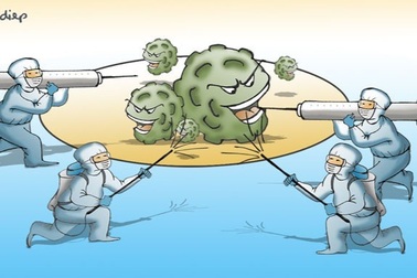 Nếu cảm thấy không thể đảm đương, gánh vác, hãy tự rút lui…