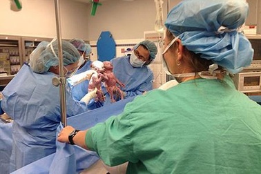 Gặp gỡ cặp song sinh nắm chặt tay nhau lúc chào đời