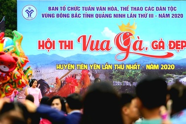 Về vùng cao Tiên Yên xem Hội thi tuyển chọn “Vua gà”
