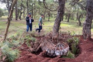 Tỉnh Gia Lai chỉ đạo siết chặt bảo vệ “báu vật xanh” trước nạn đào trộm