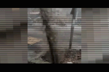 Nước từ đường ống nước sạch bị vỡ phun lên... đen ngòm!