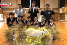 Trường học "tuyển" dê con để thu hút học sinh đến lớp