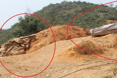 Phong tỏa, nghiêm cấm người dân vào rừng tận thu gỗ quý