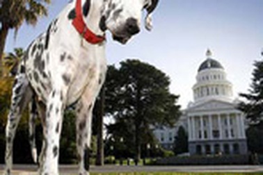 Chùm ảnh: Những sự kiện nổi bật thế giới tuần qua