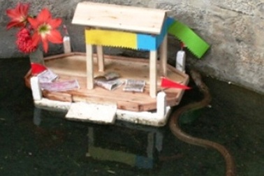 Không thể có “rắn thần”