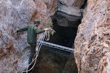 Tiết lộ mới về vi sinh vật sống sâu dưới bề mặt Trái đất