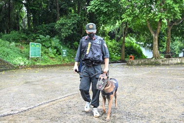 Huy động chó nghiệp vụ tìm du khách mất tích trong rừng Cúc Phương