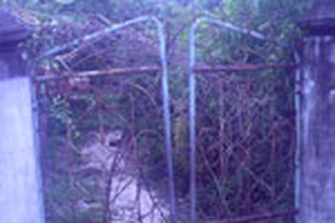 Hoang mang xóm đàn ông chết trẻ