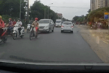 Tình huống vạ lây do chó thả rông là clip giao thông nổi bật tuần qua