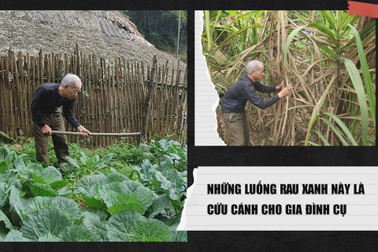 Gia cảnh khốn cùng của người cựu binh già lưng còng rạp