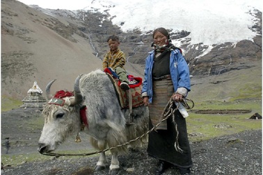 Khác biệt về gen giúp người Tây Tạng tồn tại được trên các vùng núi cao