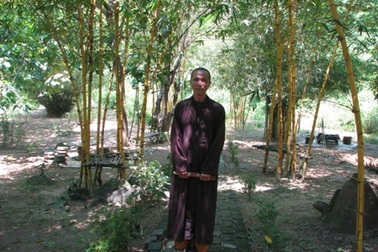 Nhà sư đam mê sưu tầm và bảo tồn tre trúc Việt Nam 
