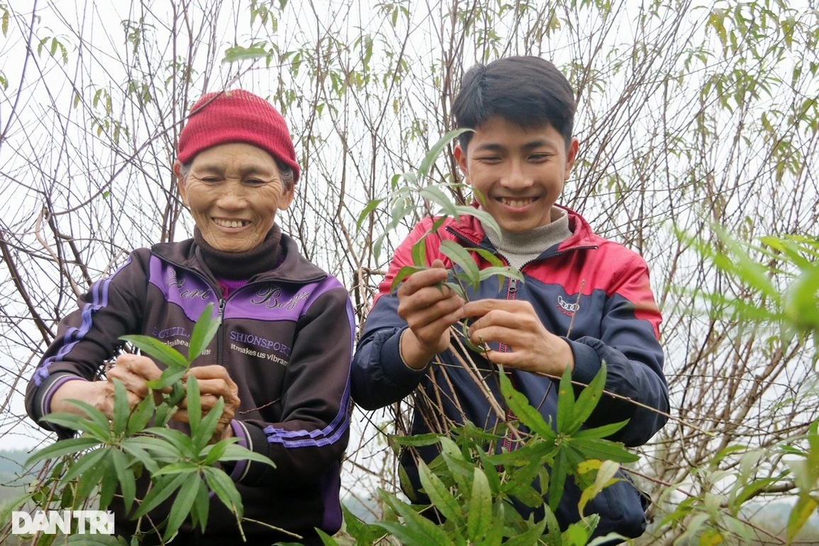 Nghề tuốt lá đếm tiền mùa vụ Tết - 10 Nghề tuốt lá đếm tiền mùa vụ Tết - 10