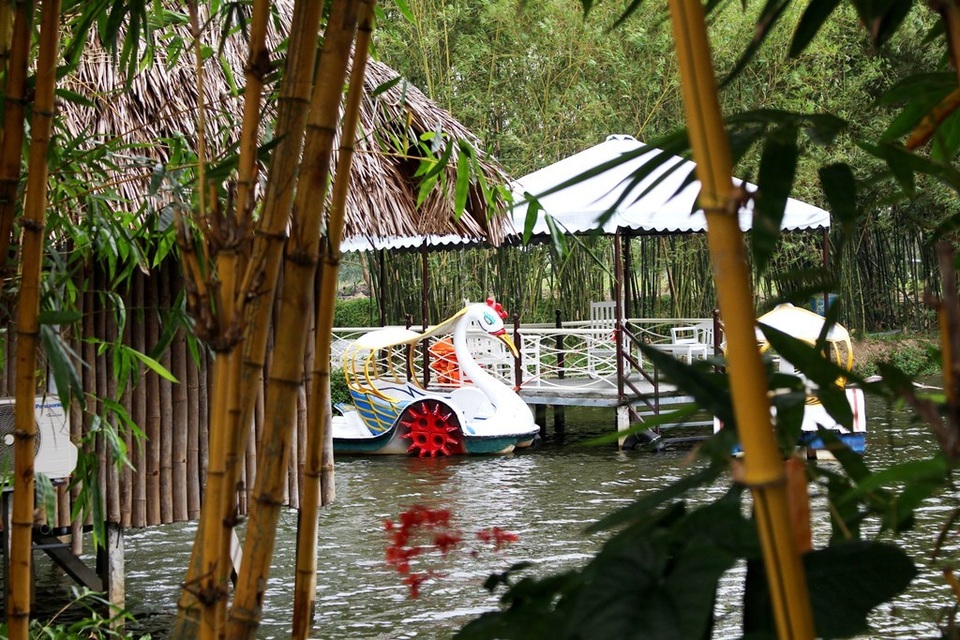 “Check-in” rừng tre nằm giữa Hội An và Đà Nẵng “Check-in” rừng tre nằm giữa Hội An và Đà Nẵng