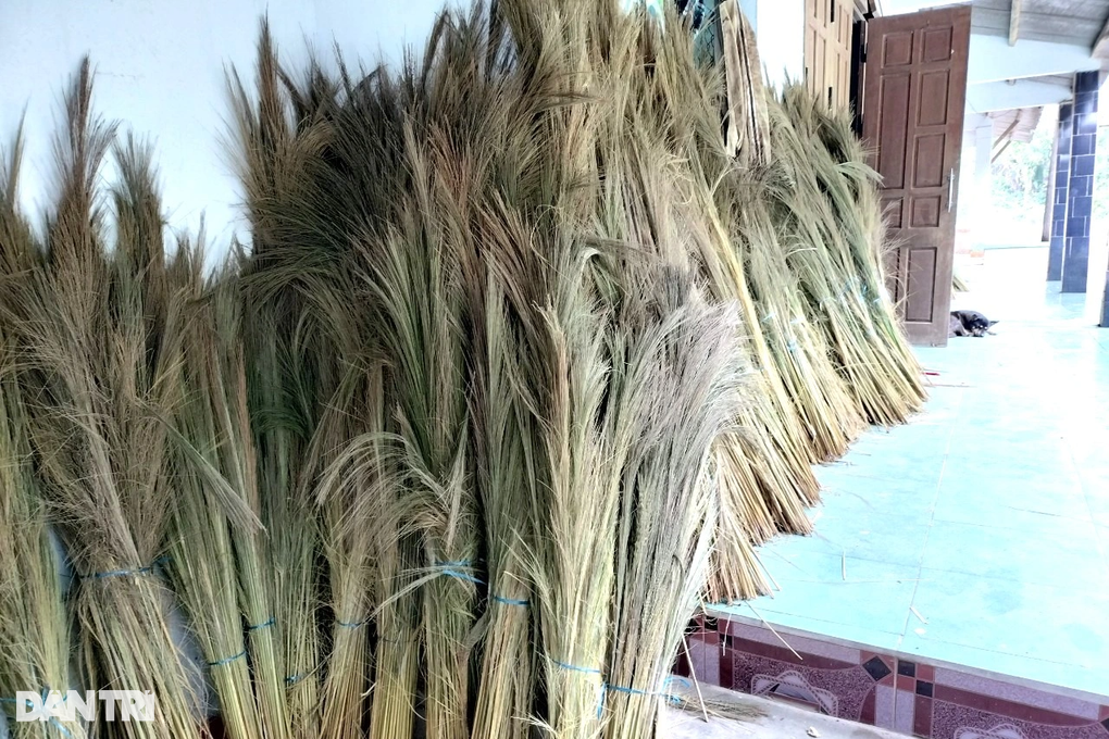 Mùa hái lộc trời ở miền núi xứ Quảng - 6