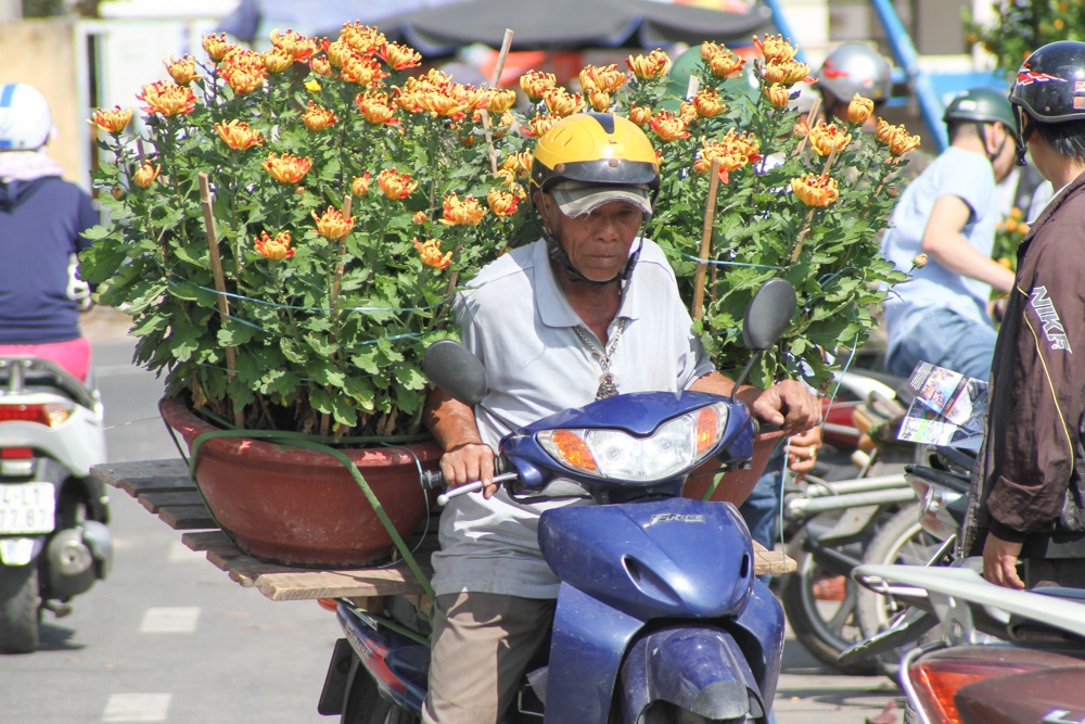 Xe ôm kiếm “bội tiền” nhờ chở hoa, cây cảnh Tết