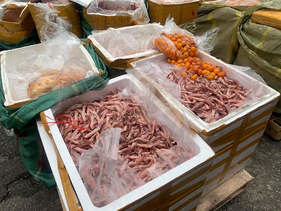 Hà Nội: Cảnh sát bắt hàng tấn lưỡi vịt, trứng non nhập lậu chuẩn bị mang đi tiêu thụ - 1 Hà Nội: Cảnh sát bắt hàng tấn lưỡi vịt, trứng non nhập lậu chuẩn bị mang đi tiêu thụ - 1