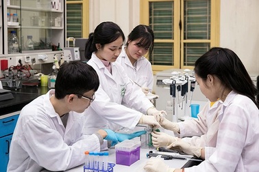 Bác sĩ, kỹ sư thời gian học nhiều hơn cử nhân 30 - 60 tín chỉ