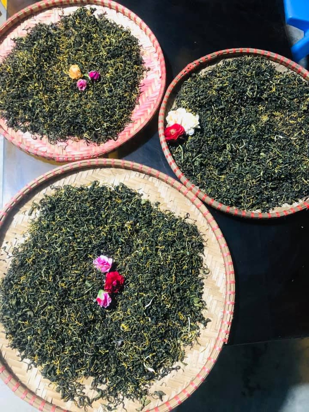 Nữ thạc sĩ bỏ việc lương cao, về quê dãi nắng dầm mưa trồng hồng hữu cơ - 7 Nữ thạc sĩ bỏ việc lương cao, về quê dãi nắng dầm mưa trồng hồng hữu cơ - 7