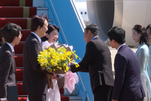 Hoàng Thái tử Nhật Bản và Công nương thăm Quảng Nam, Đà Nẵng