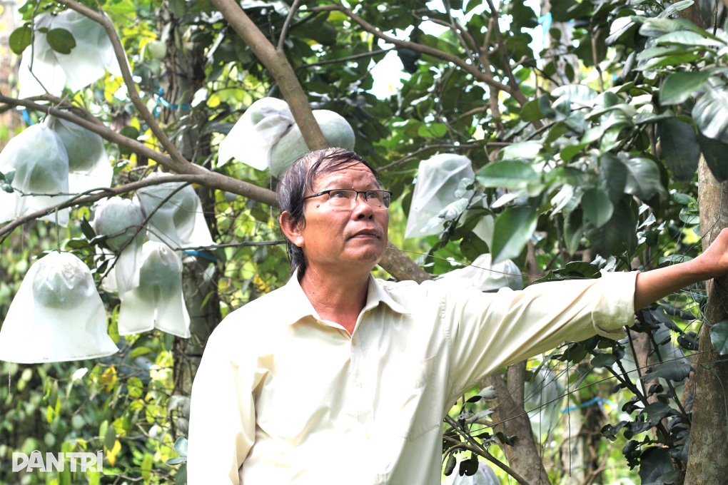 Gặt hái vàng đen trên đất bạc màu, lão nông thoát nghèo - 3 Gặt hái vàng đen trên đất bạc màu, lão nông thoát nghèo - 3