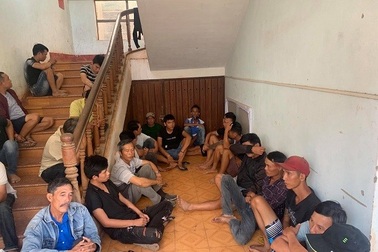 Đột kích trường gà lớn giữa mùa dịch: Nam thanh niên làm chủ sới