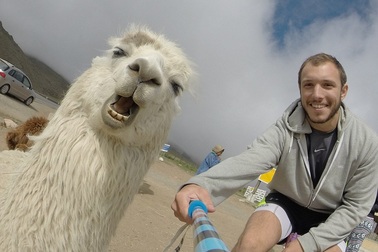 Những khoảnh khắc "phá bĩnh" hài hước của động vật