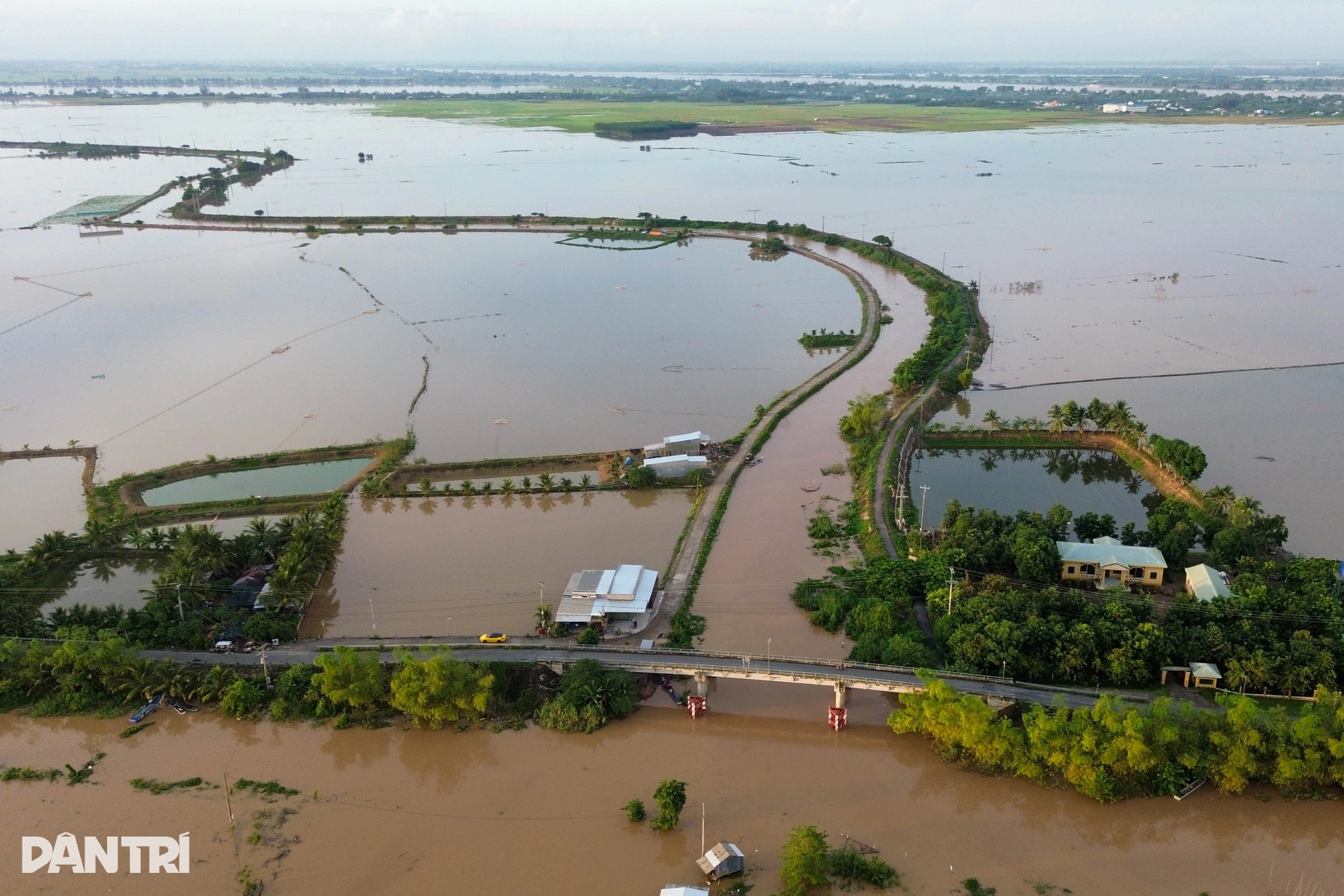 Trắng đêm săn lộc trời kiếm gần triệu bạc mỗi ngày - 10 Trắng đêm săn lộc trời kiếm gần triệu bạc mỗi ngày - 10