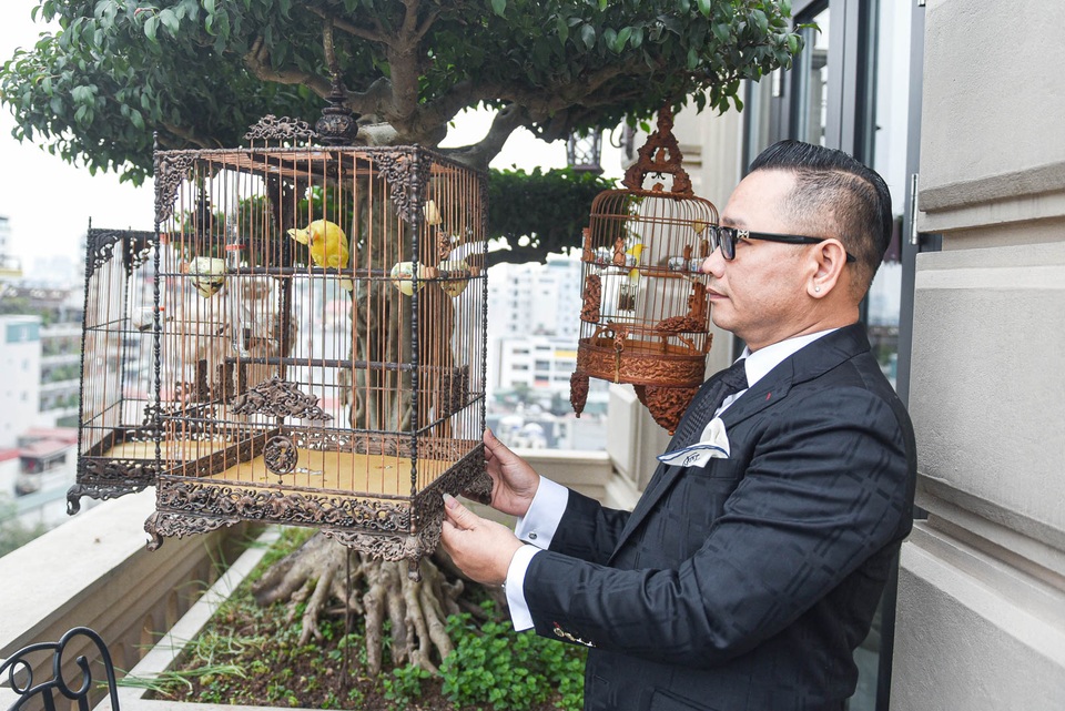 Săn lùng hoàng mào chơi Tết, đại gia thuê hẳn xe riêng đón chim quý về nhà - 2