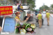 Vi phạm nồng độ cồn, tài xế nói "do ăn nửa cân mận"