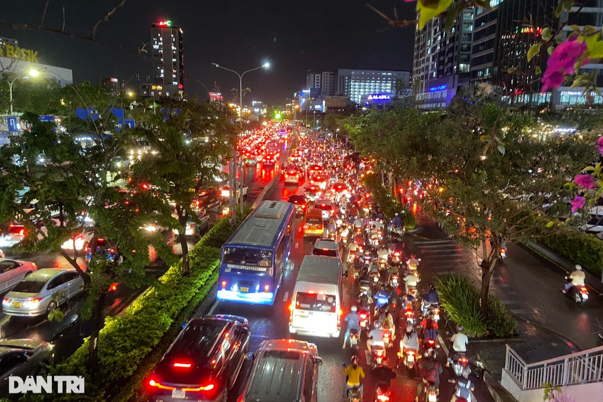 Cây bồ đề hàng chục năm tuổi bật gốc ở cửa ngõ sân bay Tân Sơn Nhất - 9 Cây bồ đề hàng chục năm tuổi bật gốc ở cửa ngõ sân bay Tân Sơn Nhất - 9