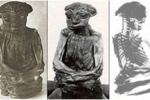 Xác ướp tí hon xuất hiện gây tranh cãi nảy lửa rồi biến mất bí ẩn