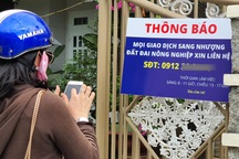 Phú Yên: Rộ tình trạng thu gom đất lúa ở vùng ven thành phố