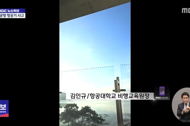 Khoảnh khắc máy bay Hàn Quốc tóe lửa vì đâm phải chim trước khi gặp nạn