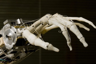 Công nghệ bộ phận giả tiên tiến cho người tàn tật