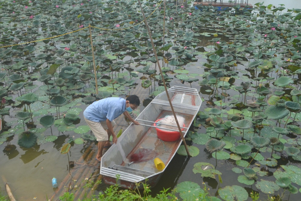 Biến đầm trũng thành mô hình kết hợp, thu hàng trăm triệu mỗi năm - 2 Biến đầm trũng thành mô hình kết hợp, thu hàng trăm triệu mỗi năm - 2