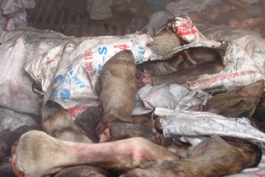 Tiêu hủy thịt thối “nửa mùa”, 4 cán bộ bị đình chỉ công tác