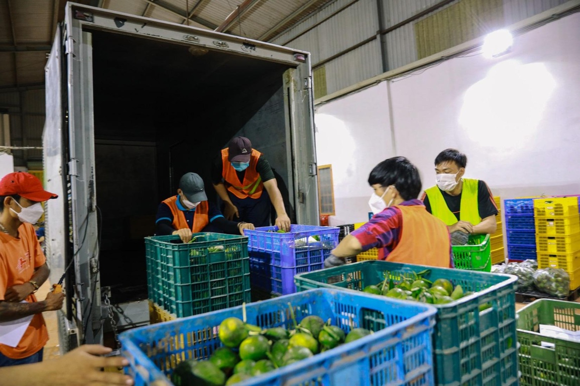 Koina tăng tốc hỗ trợ nông dân mùa dịch - 1 Koina tăng tốc hỗ trợ nông dân mùa dịch - 1