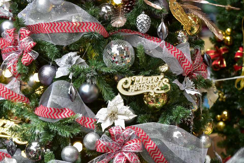 Cây thông Noel giá chục triệu đắt hàng trước lễ Giáng sinh - 10 Cây thông Noel giá chục triệu đắt hàng trước lễ Giáng sinh - 10
