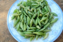 Món côn trùng chị em kinh sợ tránh xa lại là đặc sản "vạn người mê"