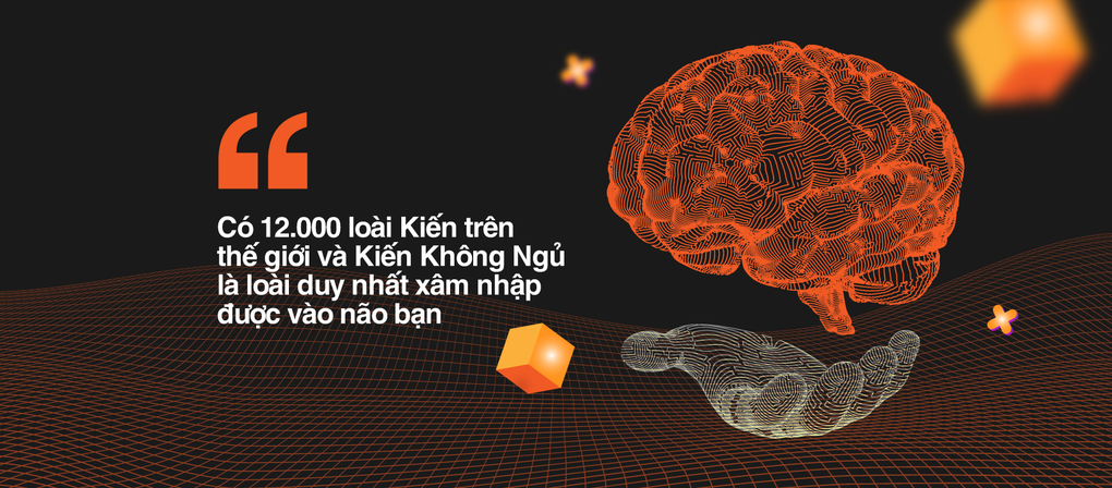 Kiến Không Ngủ - Cộng đồng tạo cơn sốt học tập bằng hình thức giải trí - 2 Kiến Không Ngủ - Cộng đồng tạo cơn sốt học tập bằng hình thức giải trí - 2