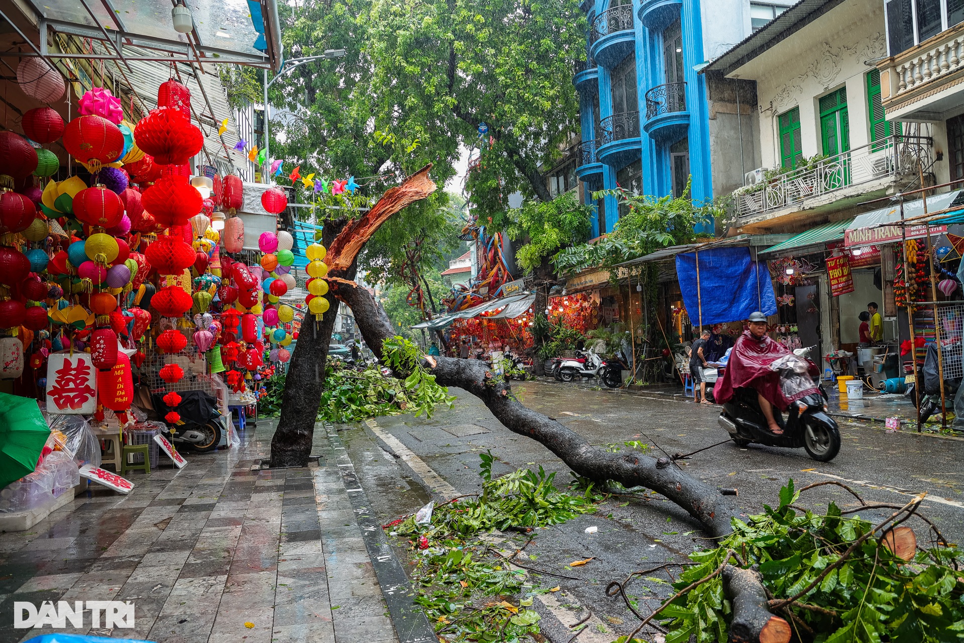 Hà Nội: Nhiều người ra đường ngổn ngang cảm xúc sau cơn bão tan - 8