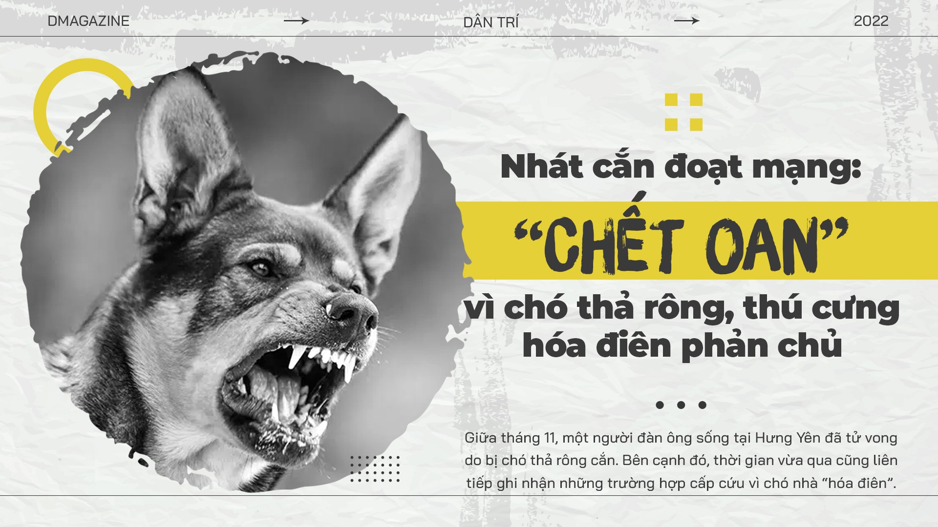 Nhát cắn đoạt mạng: "Chết oan" vì chó thả rông, thú cưng hóa điên phản chủ