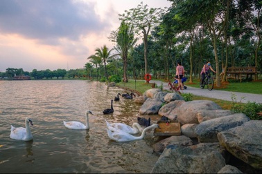 Chán nội đô khói bụi, cặp vợ chồng trẻ Hà Nội bán nhà ra ven đô "sống xanh”