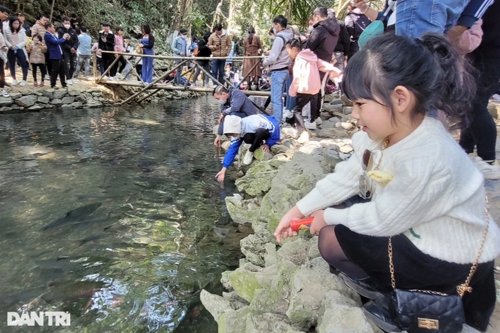 Đông nghẹt người chiêm ngưỡng đàn cá khủng cả nghìn con ở Thanh Hóa - 4 Đông nghẹt người chiêm ngưỡng đàn cá khủng cả nghìn con ở Thanh Hóa - 4