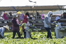 Covid-19 có thể đẩy 150 triệu người rơi vào tình trạng cực kỳ nghèo đói