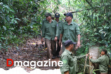 "Sống khỏe" tại nơi từng là điểm nóng về tranh chấp đất rừng