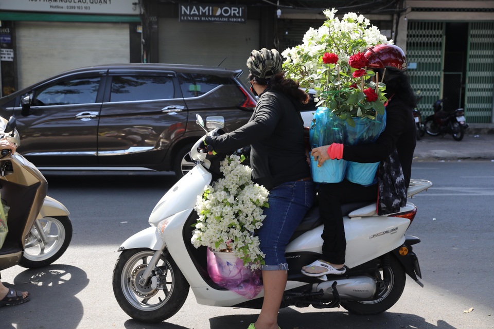 Thương lái mệt mỏi xả hàng, giá hoa tết nhiều nơi giảm 50-70% - 22 Thương lái mệt mỏi xả hàng, giá hoa tết nhiều nơi giảm 50-70% - 22