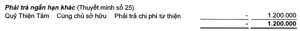 Vingroup của tỷ phú Phạm Nhật Vượng nộp thuế và làm từ thiện thế nào? - 2 Vingroup của tỷ phú Phạm Nhật Vượng nộp thuế và làm từ thiện thế nào? - 2
